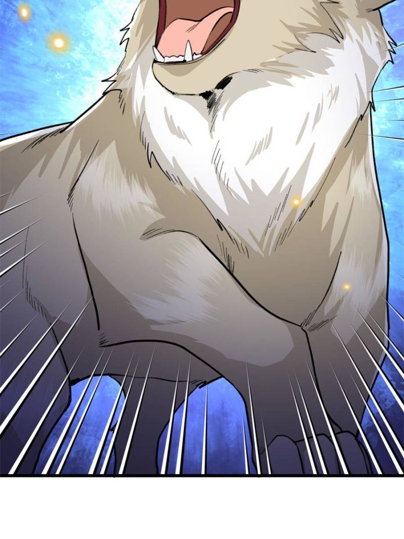 81492472 800 1067 89496